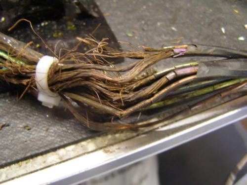 Biodegradable Wiring Harness Were A Bad Idea